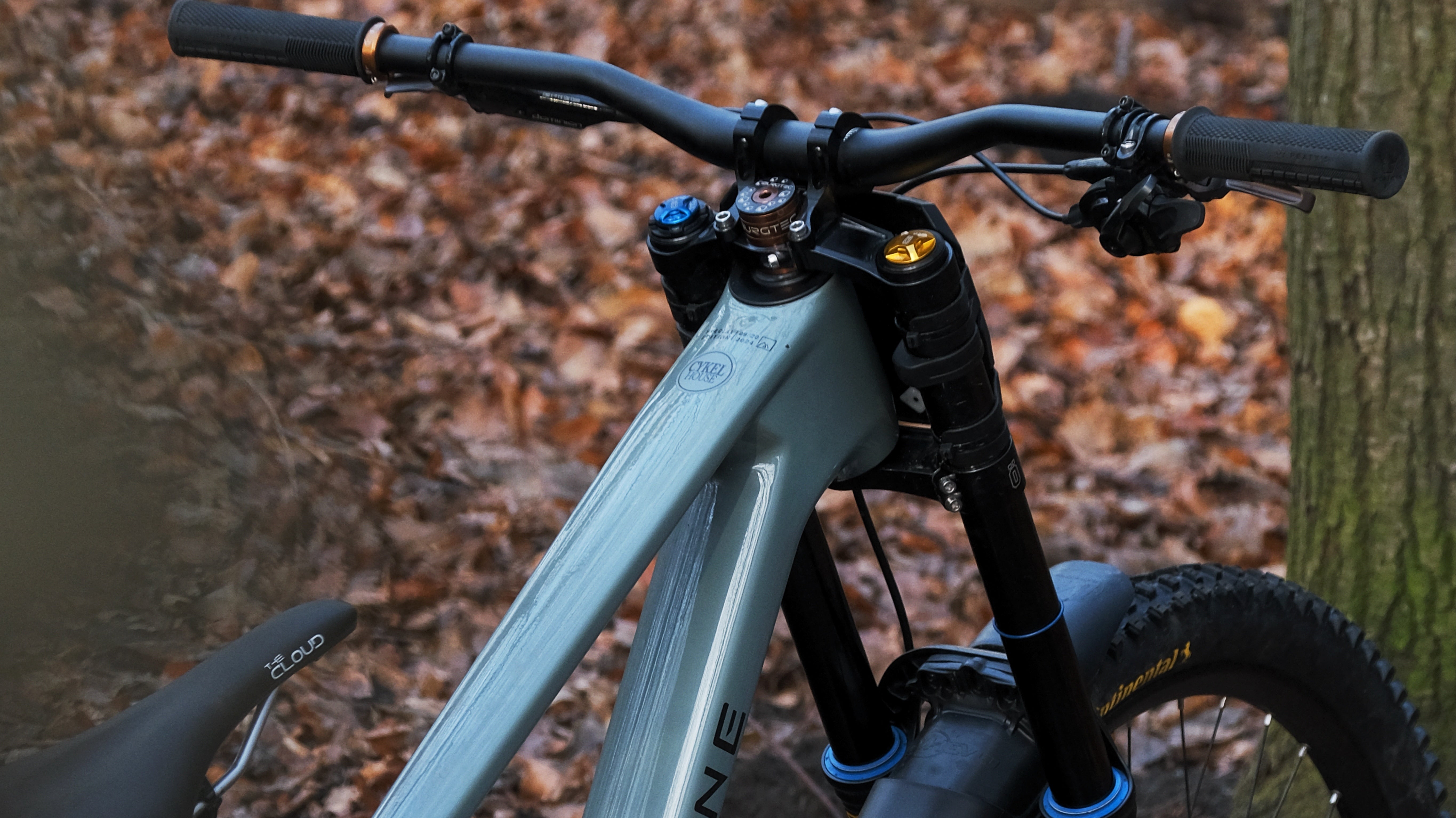 Crestline DH Bike | Custom Build