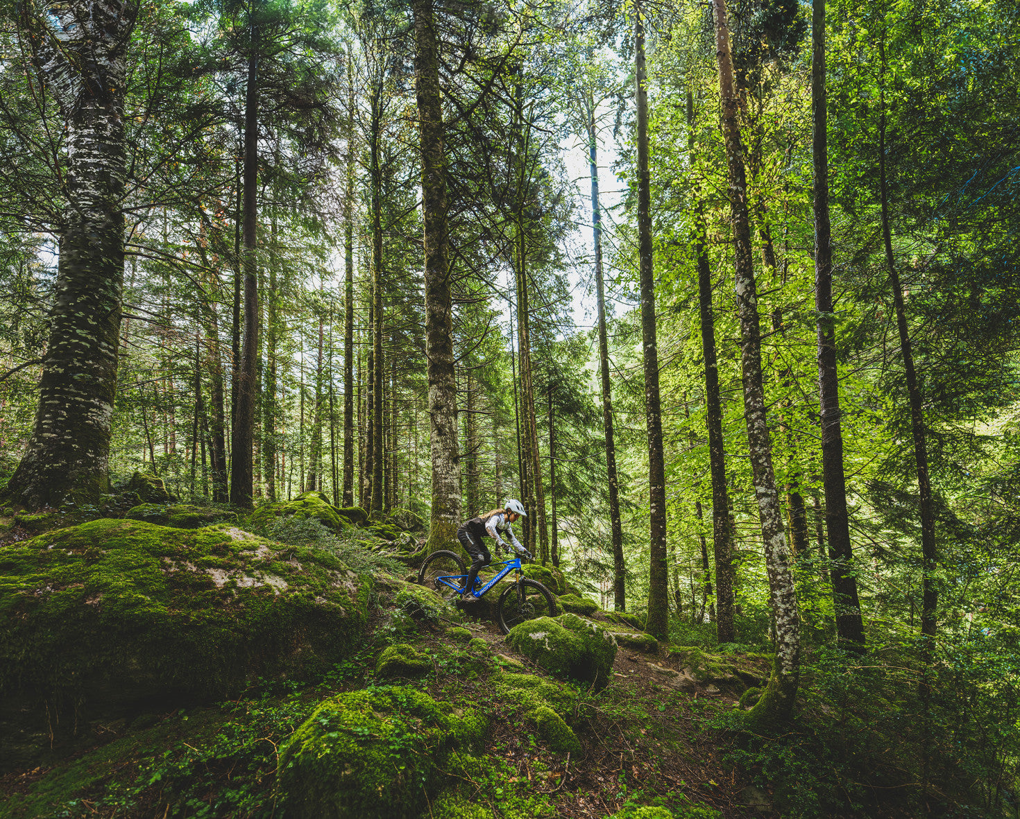 Mondraker Neat riding through the woods