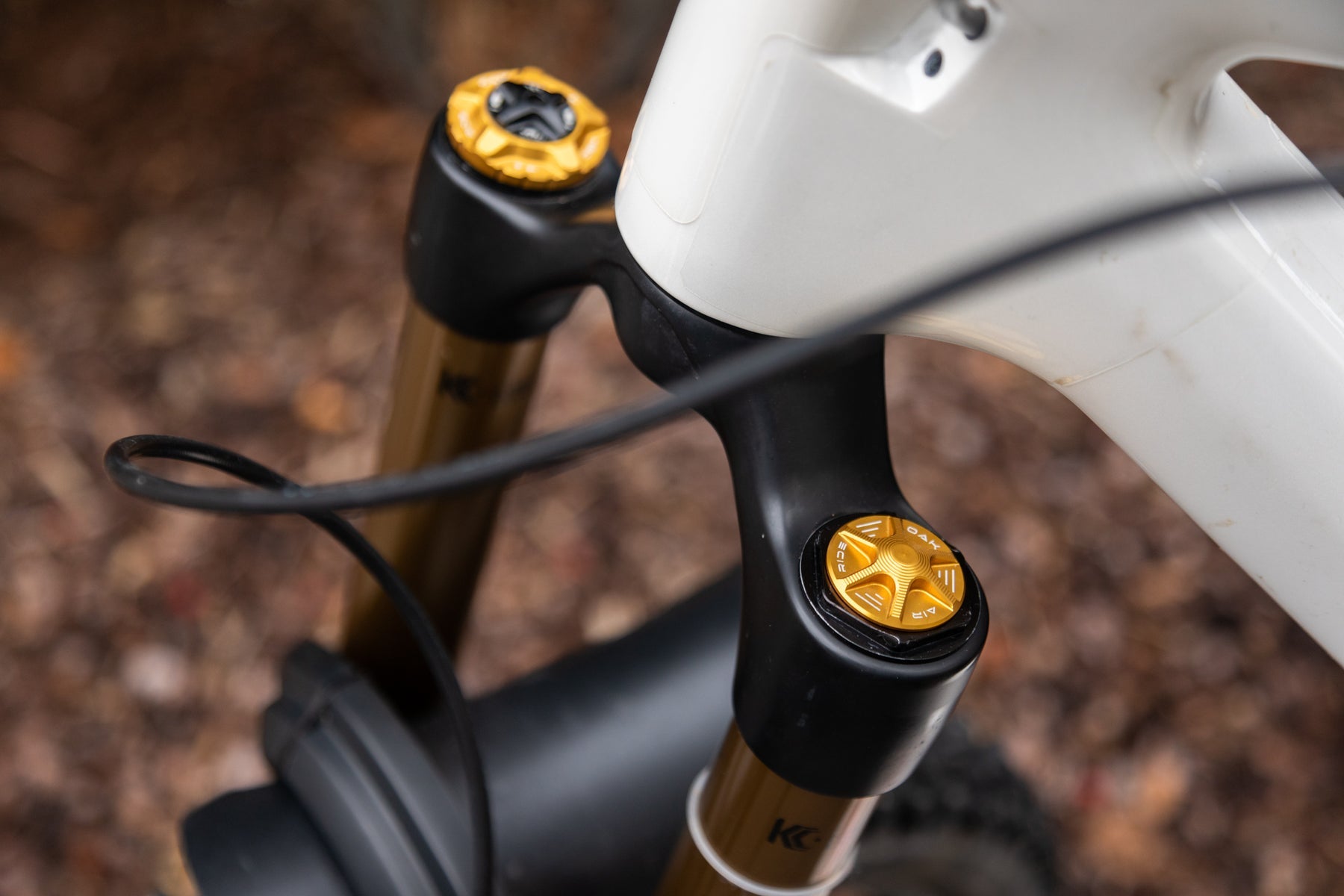 Oak Fork AIR Cap Gold