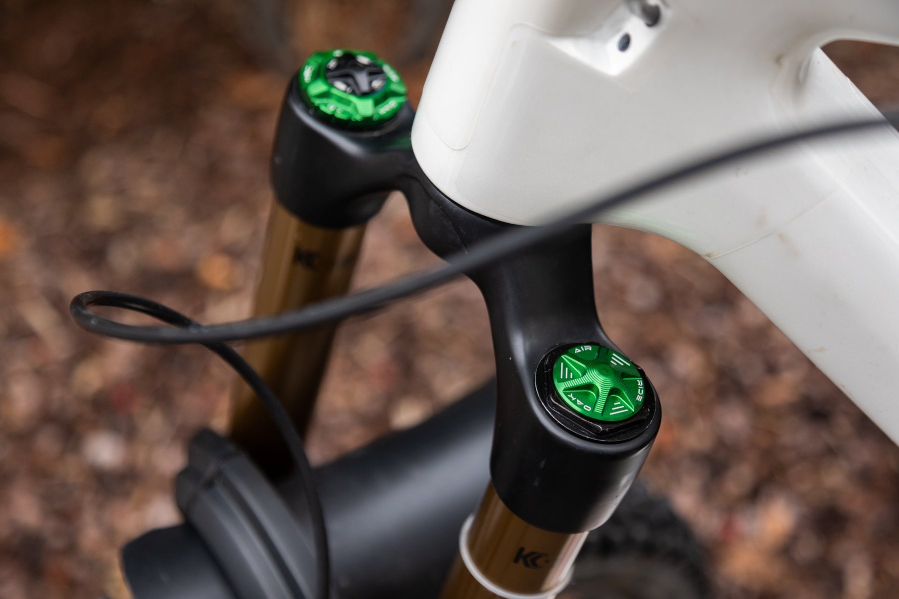 Oak Fork AIR Cap Green