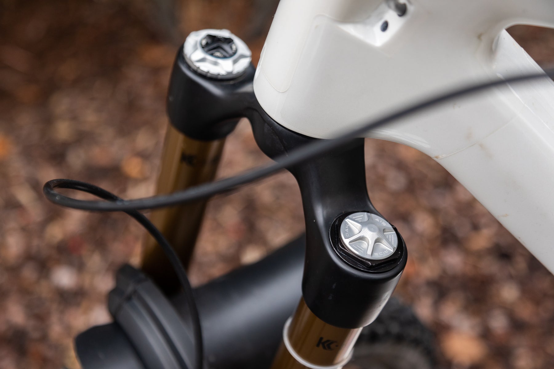 Oak Fork AIR Cap Raw