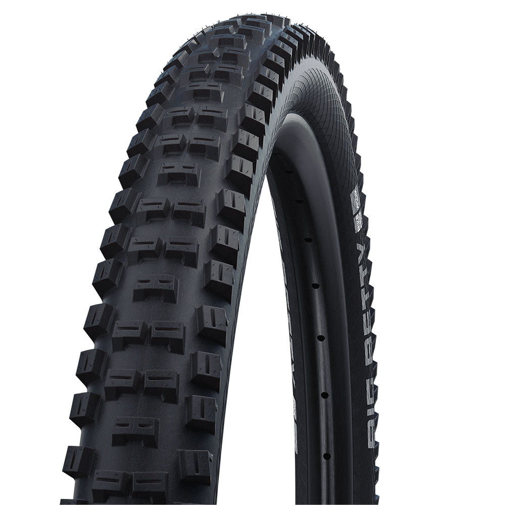 Schwalbe Big Betty Performance TLE Folding