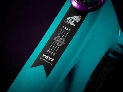Yeti Cycles ASR Ultimate Anniversary 29" Bike