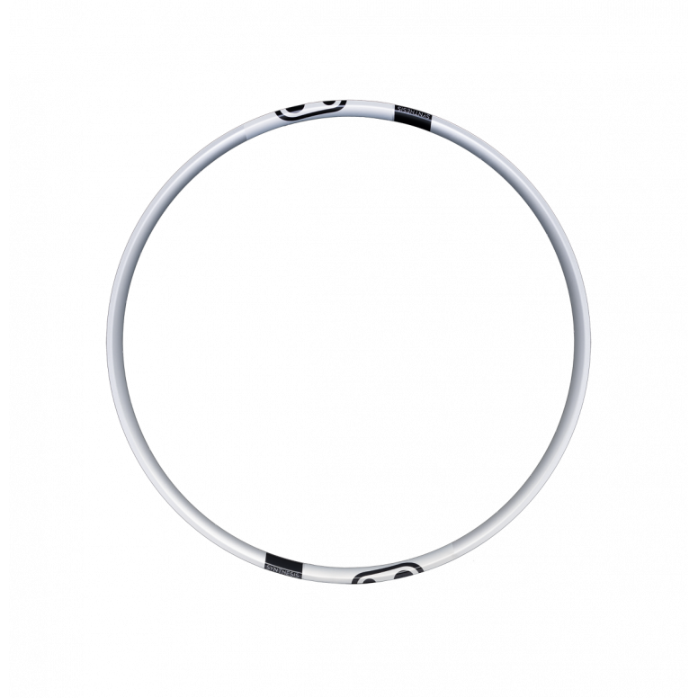 Crankbrothers Synthesis Alloy 2.0 DH/E-Bike Rim Silver