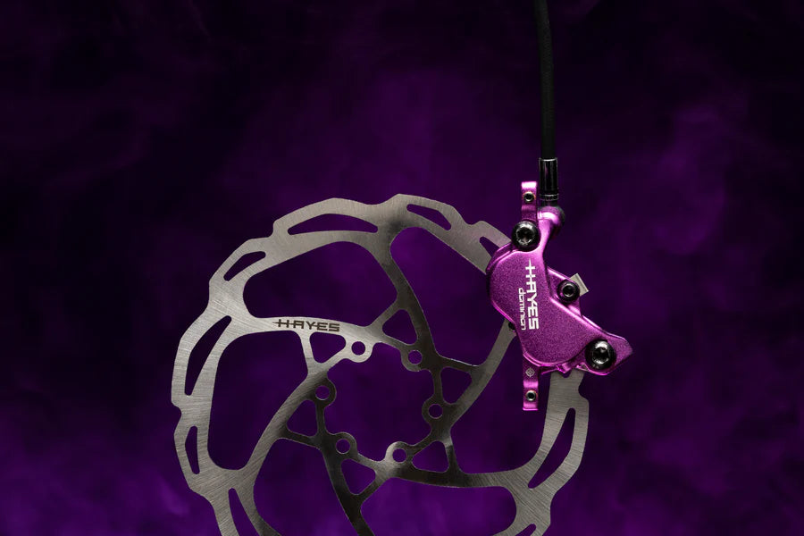 Hayes dominion purple caliper