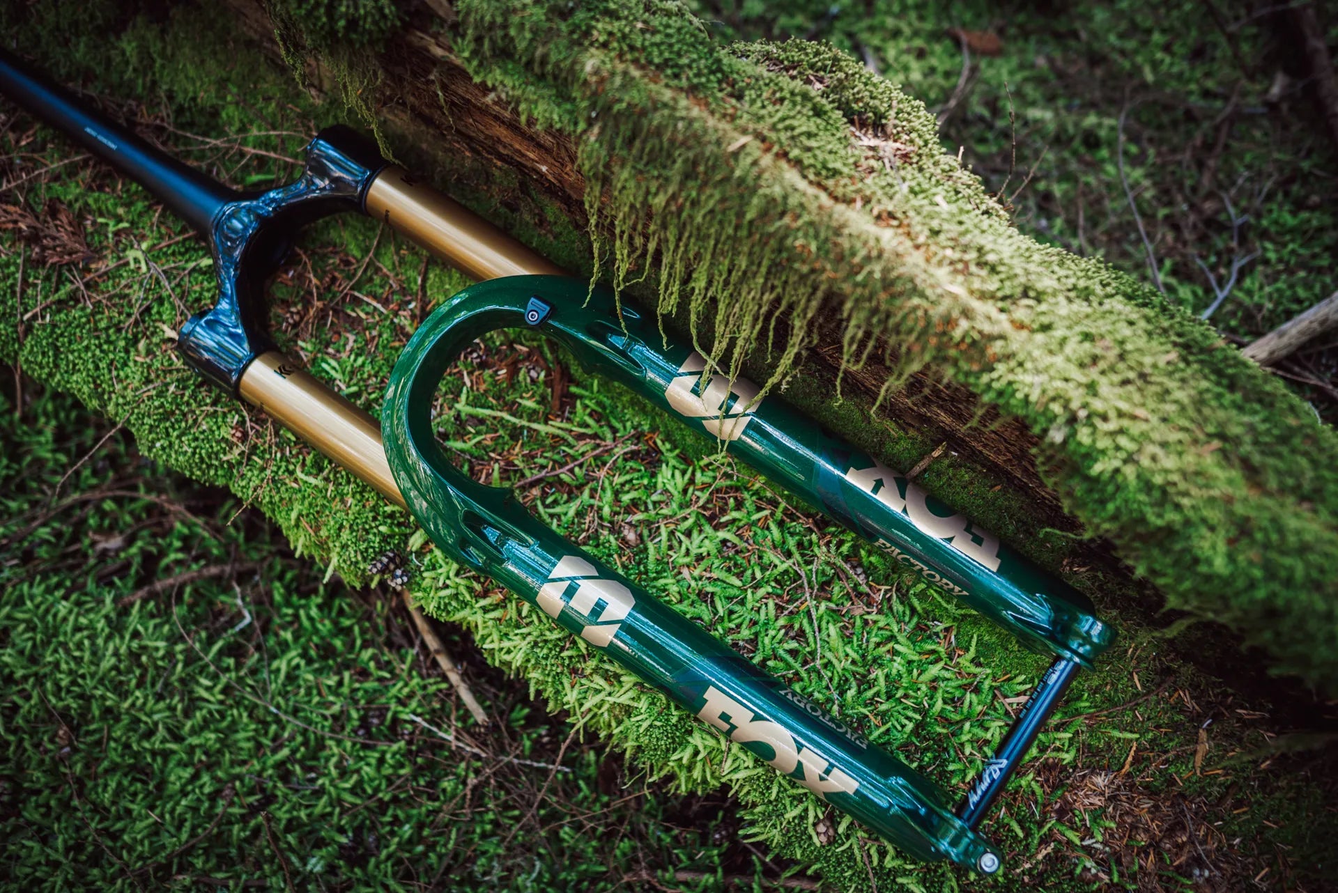 Fox Fork 38 Float Factory Suspension Fork Ltd Racing Green Front Close Up
