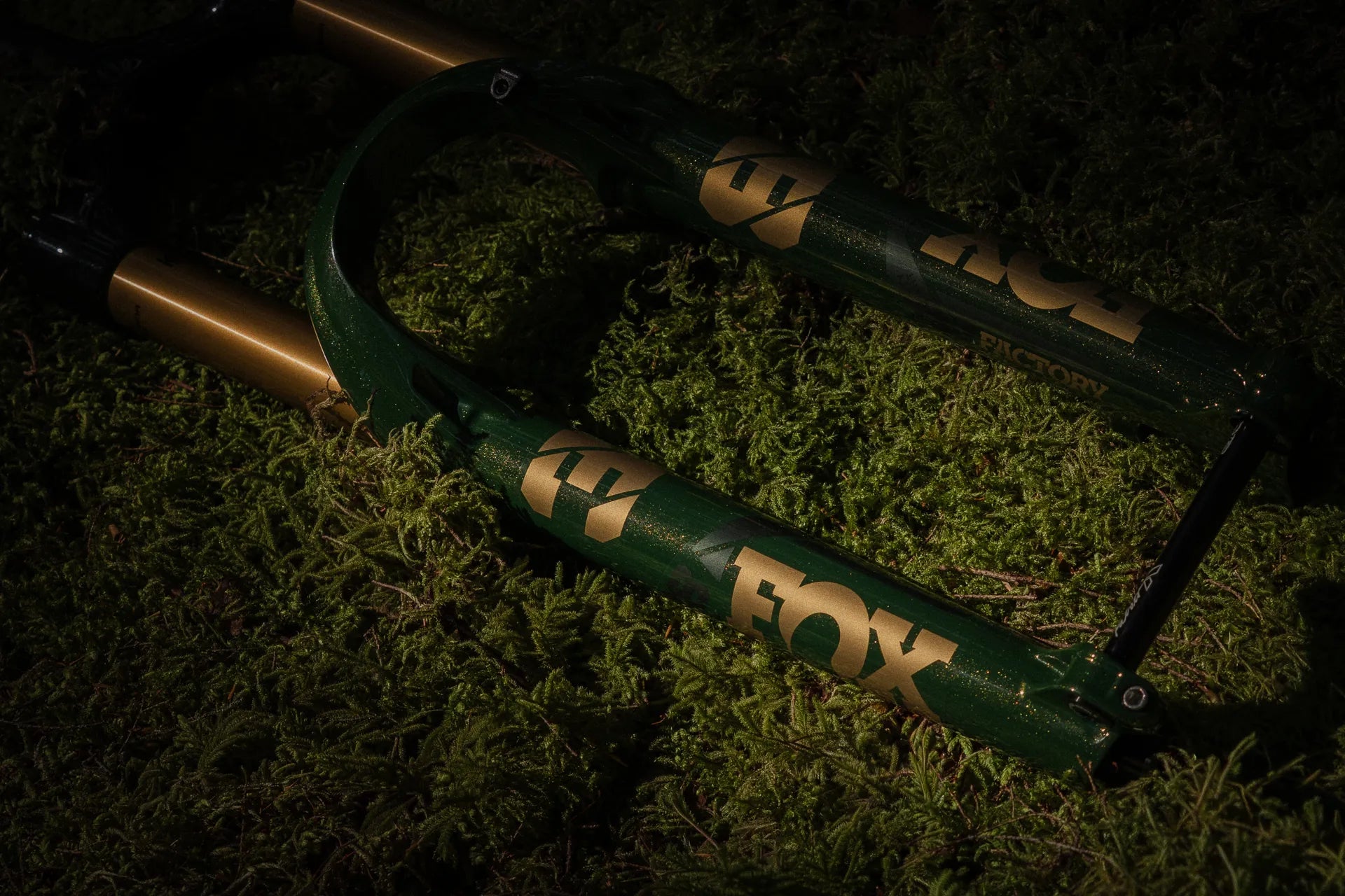Fox Fork 38 Float Factory Suspension Fork Ltd Racing Green On Moss