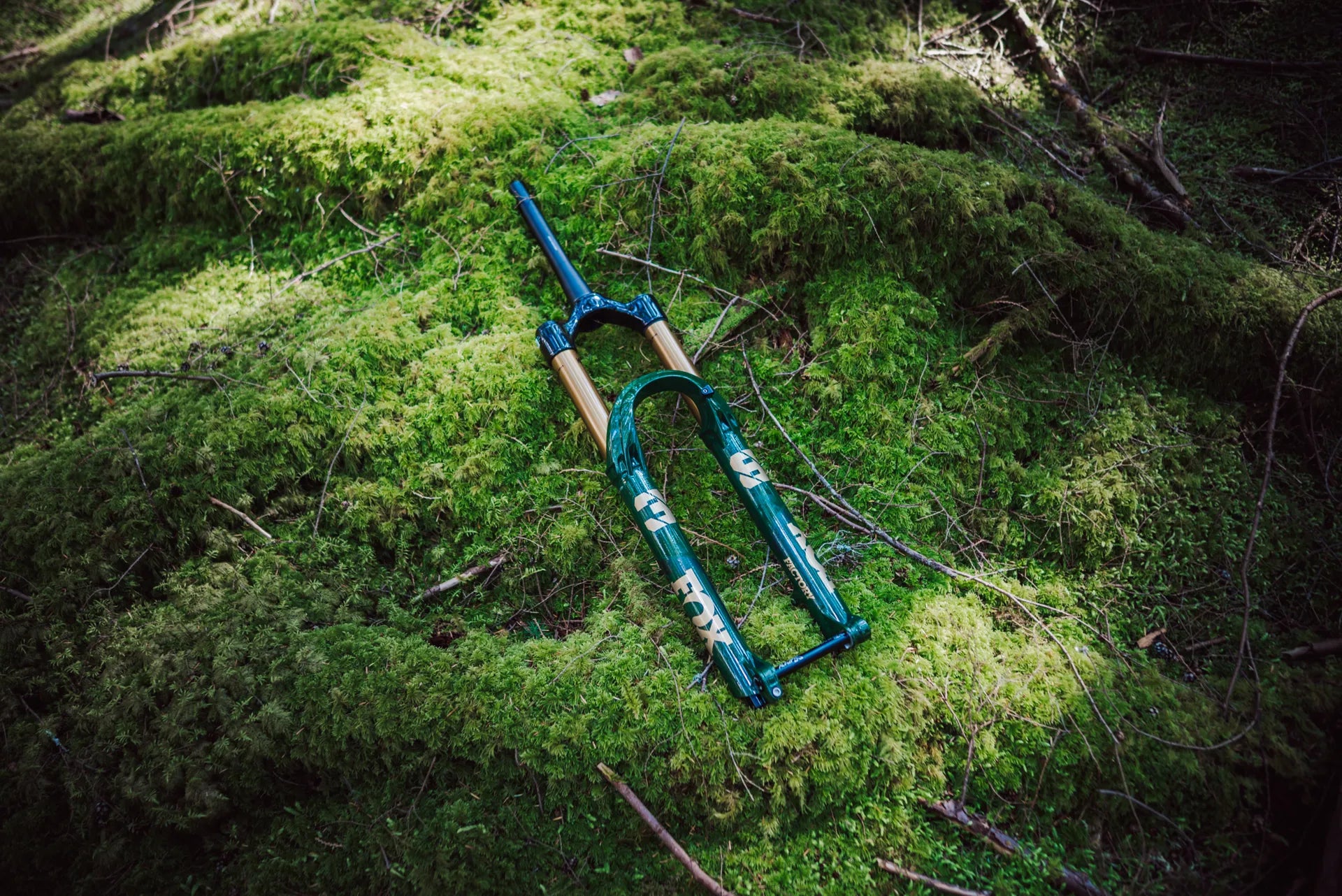 Fox Fork 38 Float Factory Suspension Fork Ltd Racing Green Laid Down