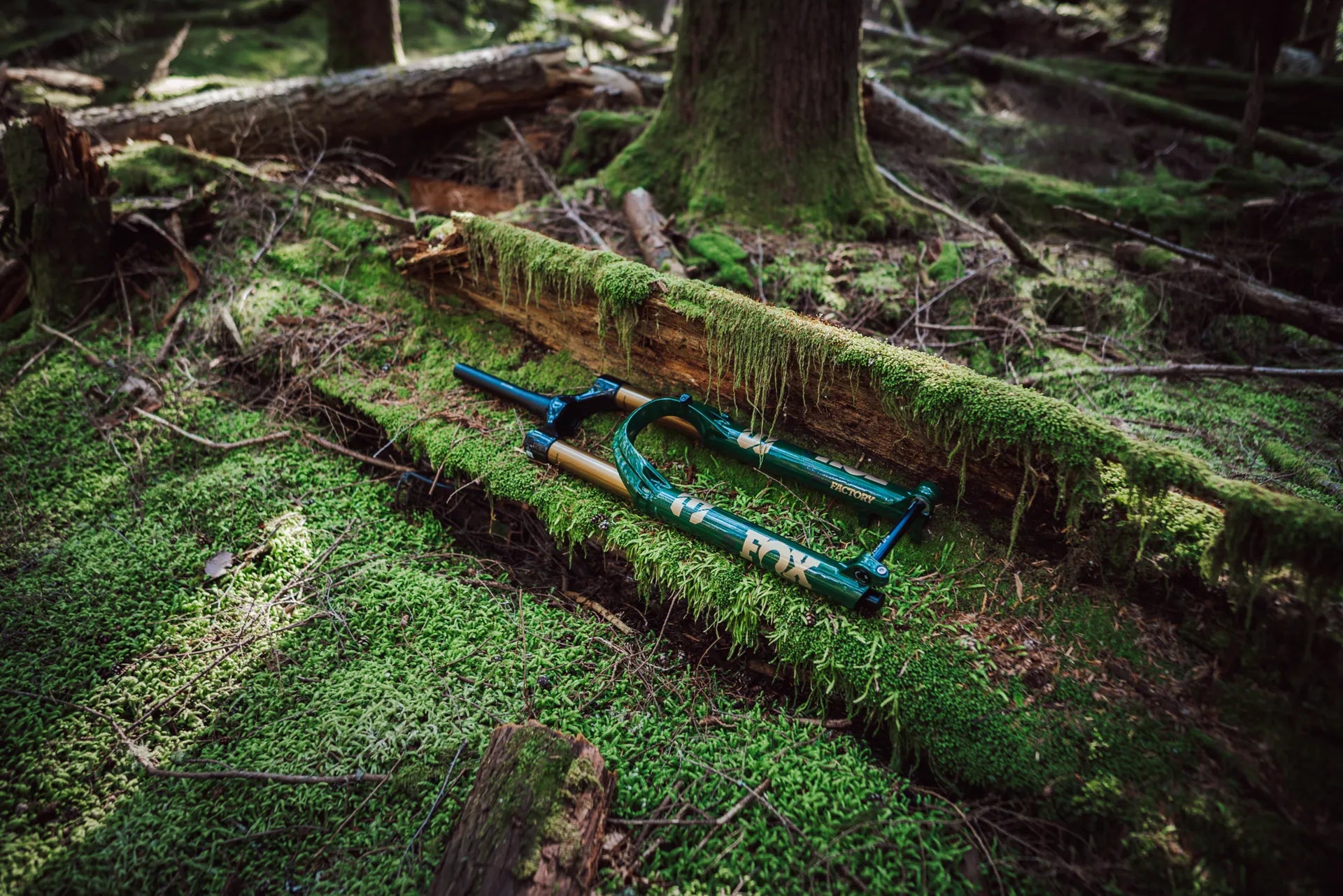 Fox Fork 38 Float Factory Suspension Fork Ltd Racing Green Laid On A Log