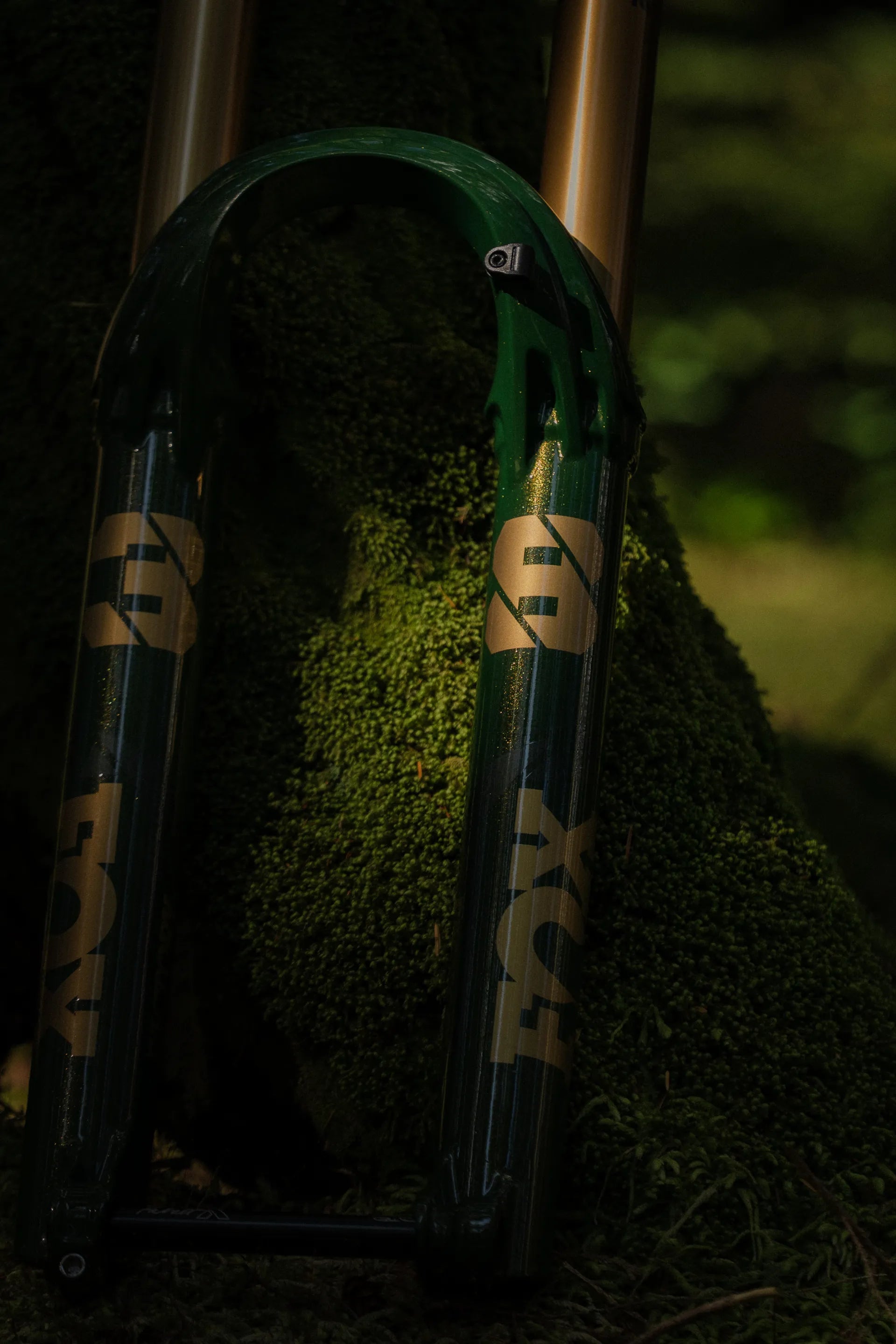 Fox Fork 38 Float Factory Suspension Fork Ltd Racing Green Moody Lighting