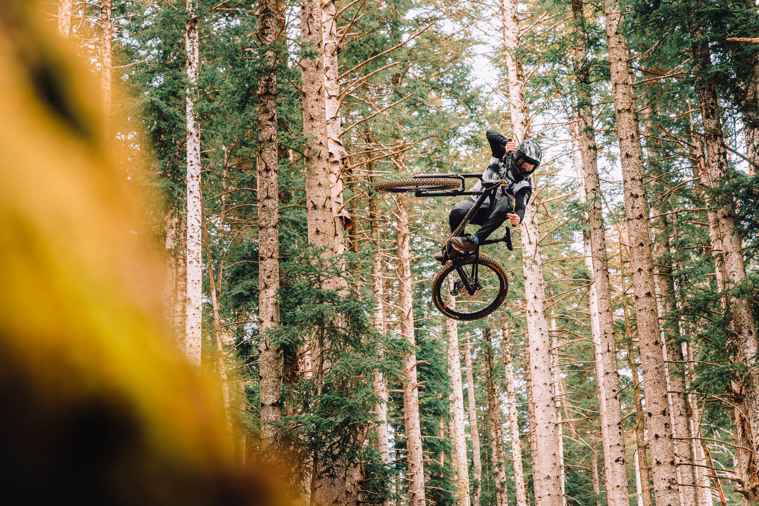 Mondraker Anark XR Steeze