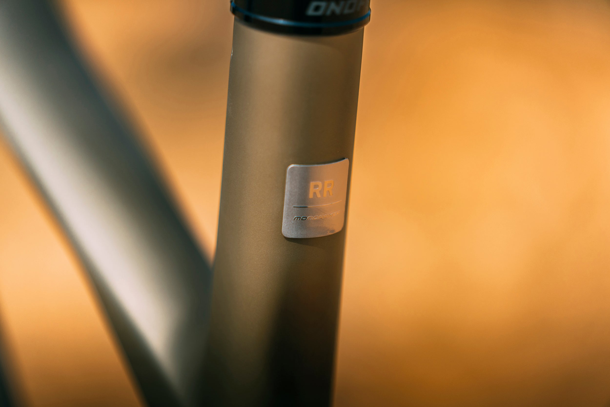 Mondraker ZENDIT RR Saturn Badge