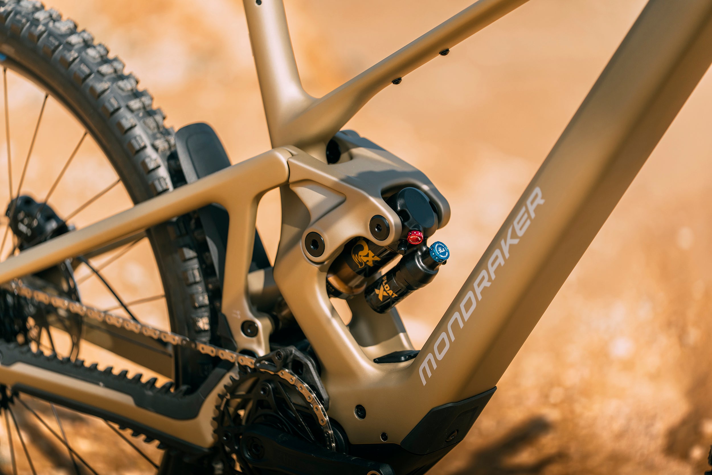 Mondraker ZENDIT RR Saturn Downtube Lifestyle