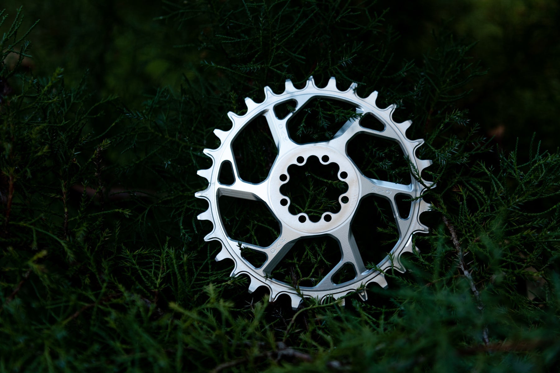 Oak Amulet Chainring Raw