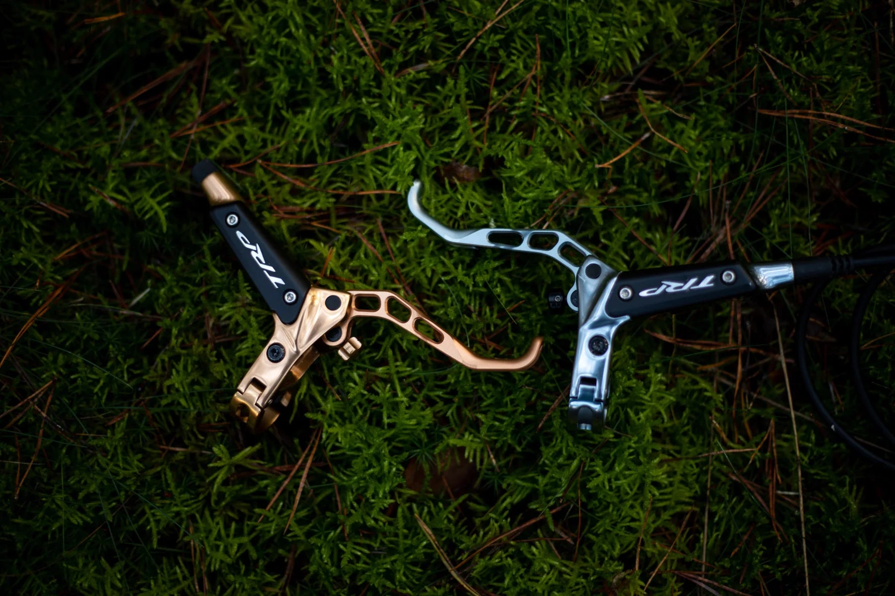 Oak components trp lever colours on grass