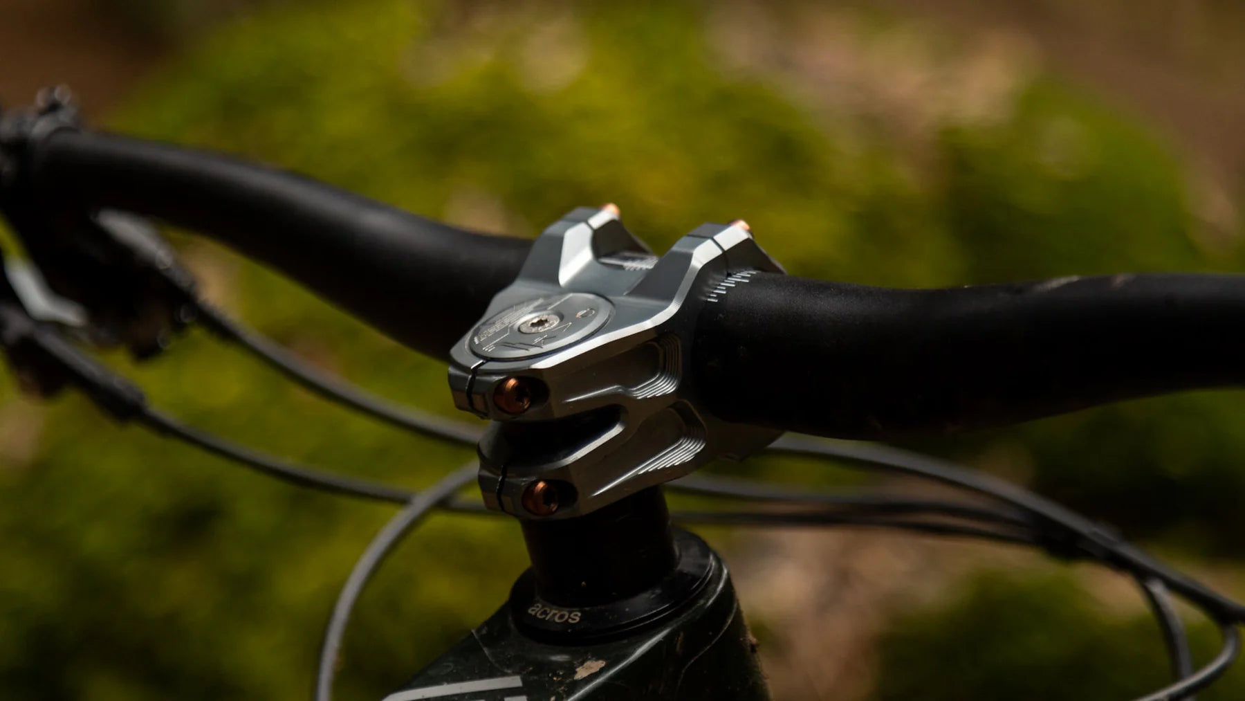 Oak eternal stem silver with bronze bolts