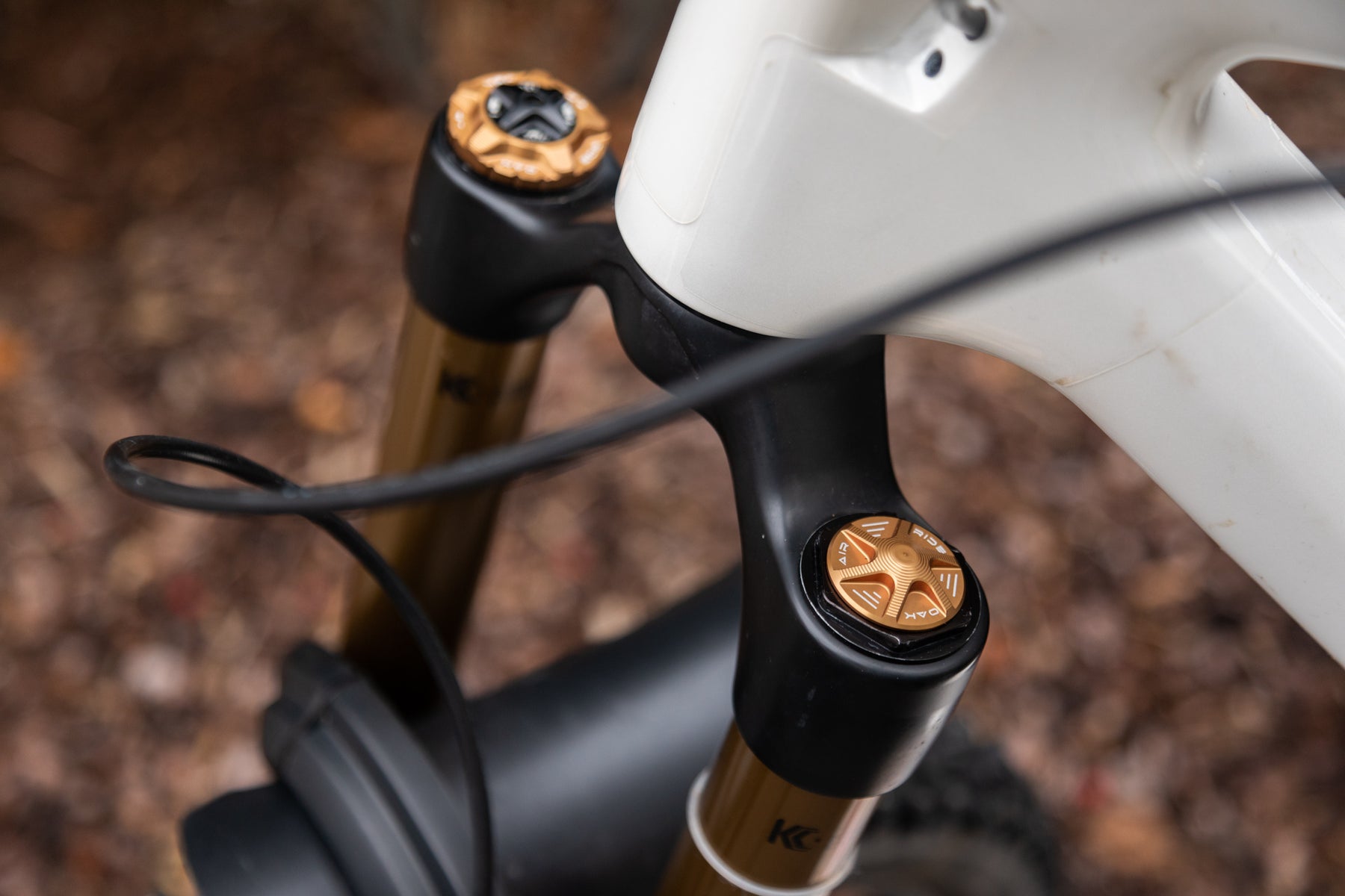 Oak Fork AIR Cap Kash Gold