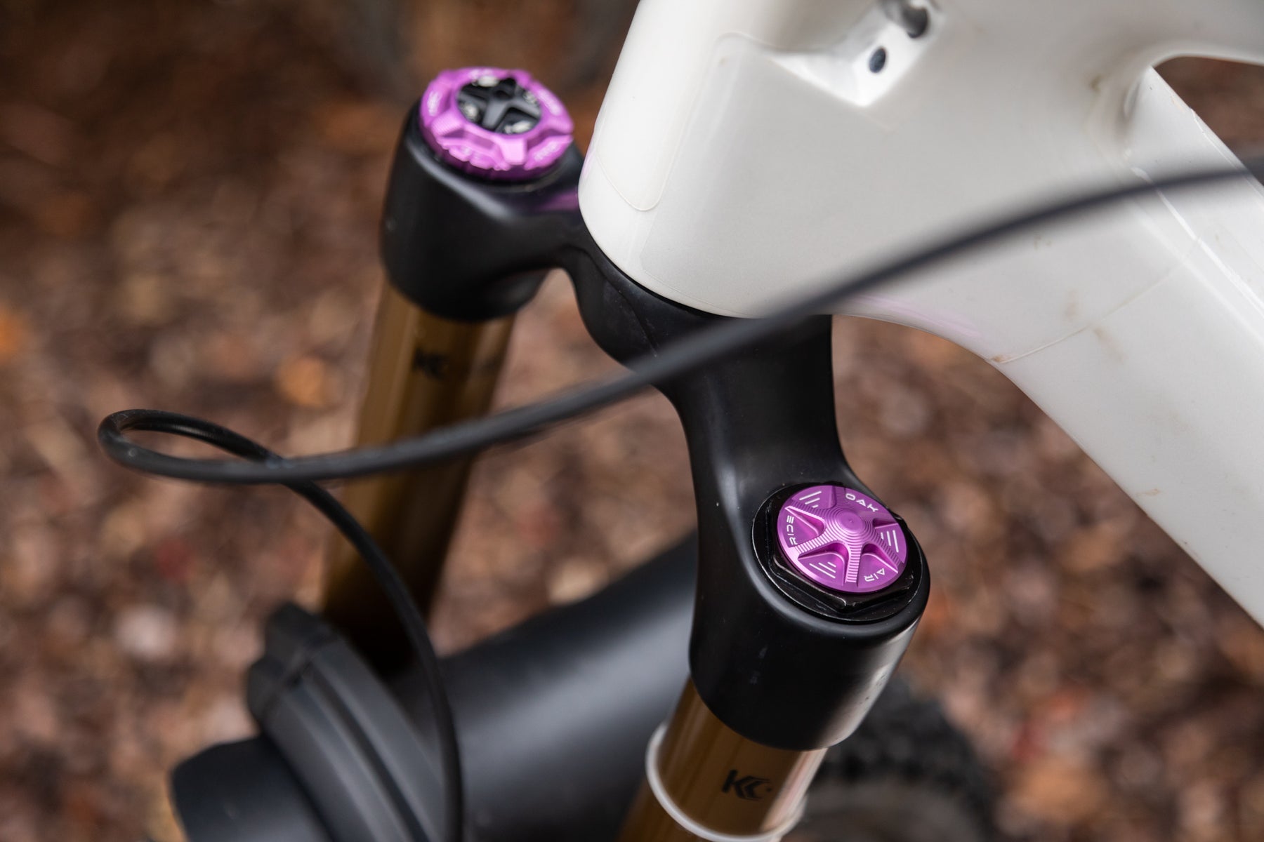 Oak Fork AIR Cap Purple