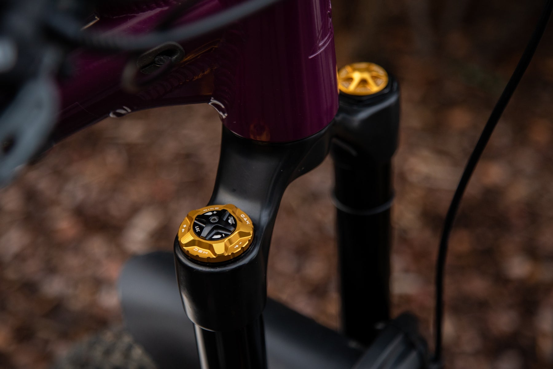 Oak Forkcap HSC fits Fox Gold