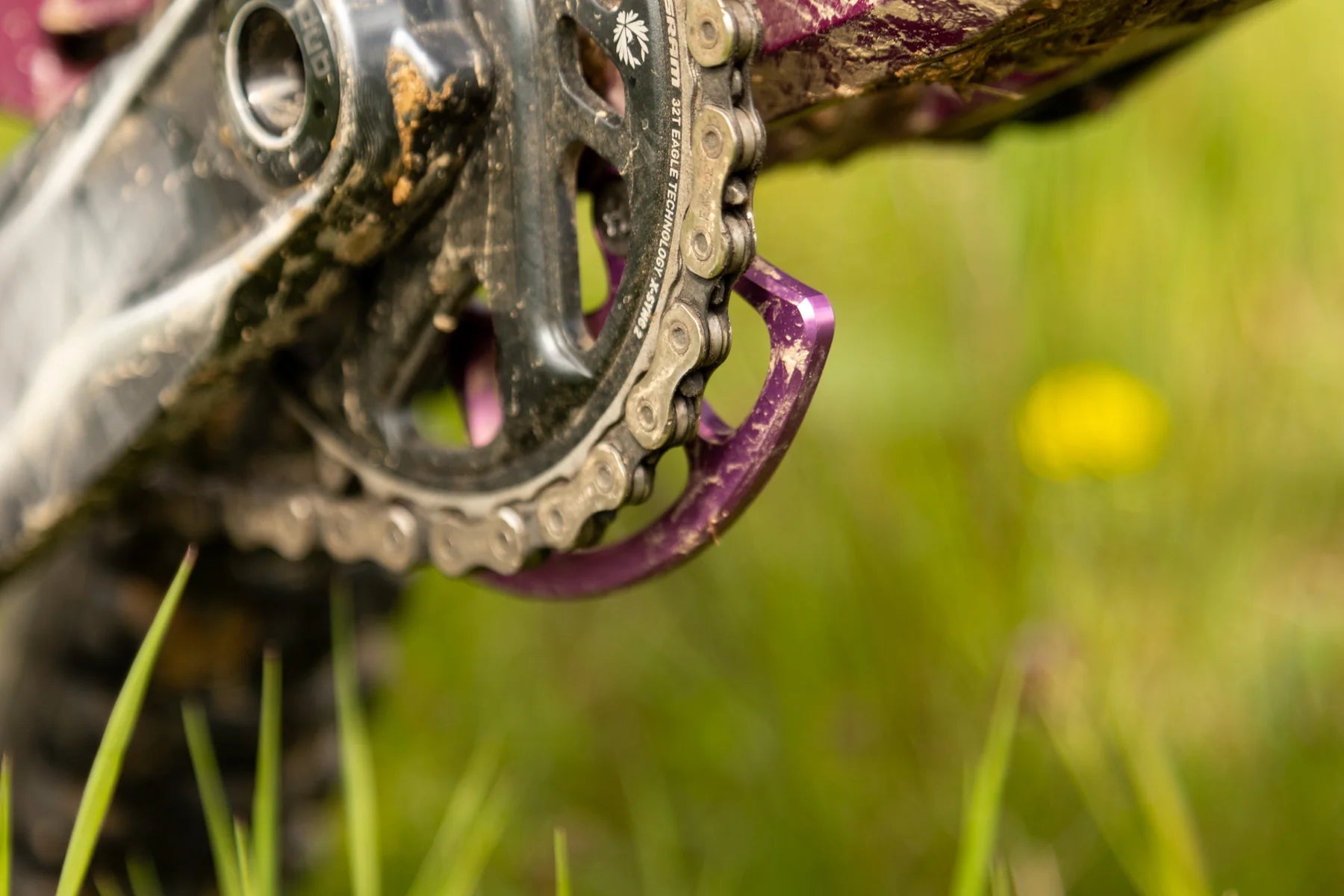 Oak grown bashguard purple in use