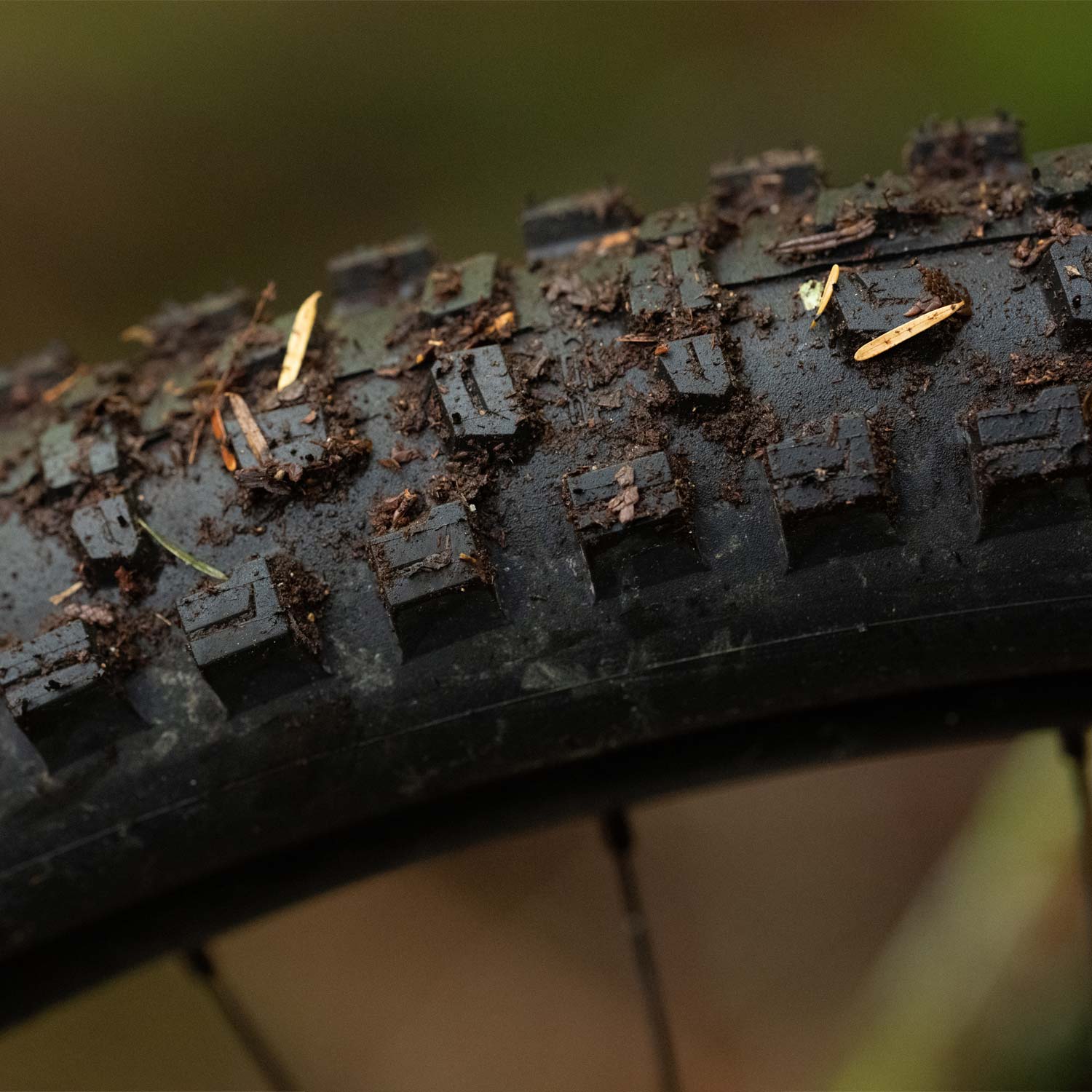 Schwalbe Romy Race Pro Folding TLR Loam