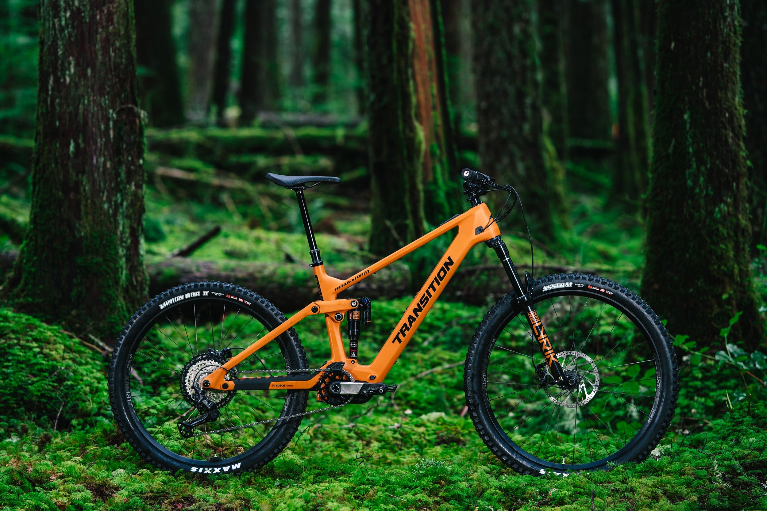 Transition Regulator SX Carbon MTB Deore Madrone Gold Side