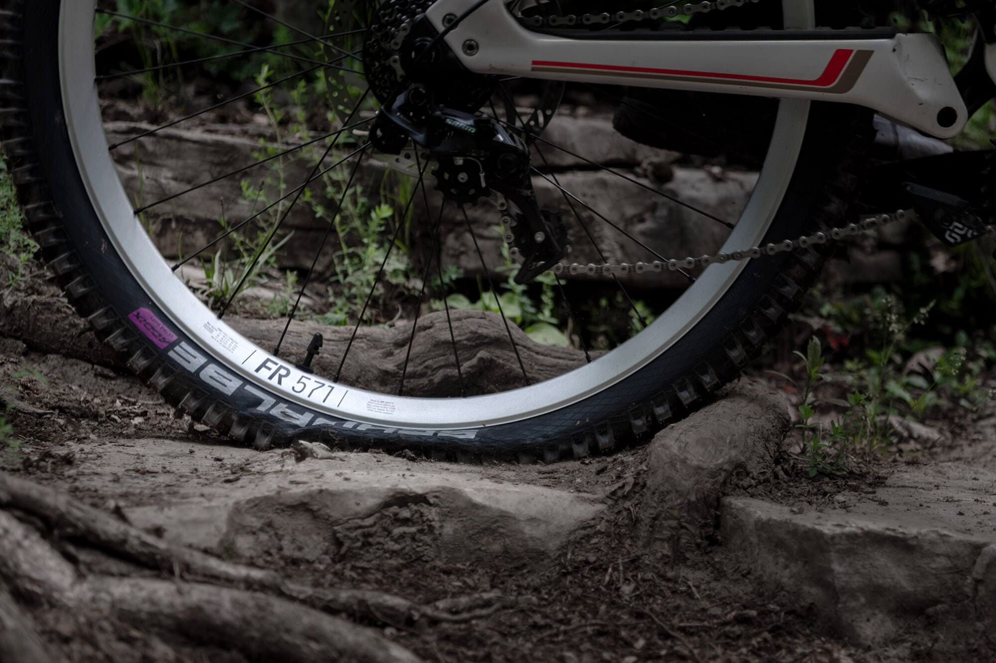 DT Swiss FR 571 SBWT Disc-Specific Presta-Drilled