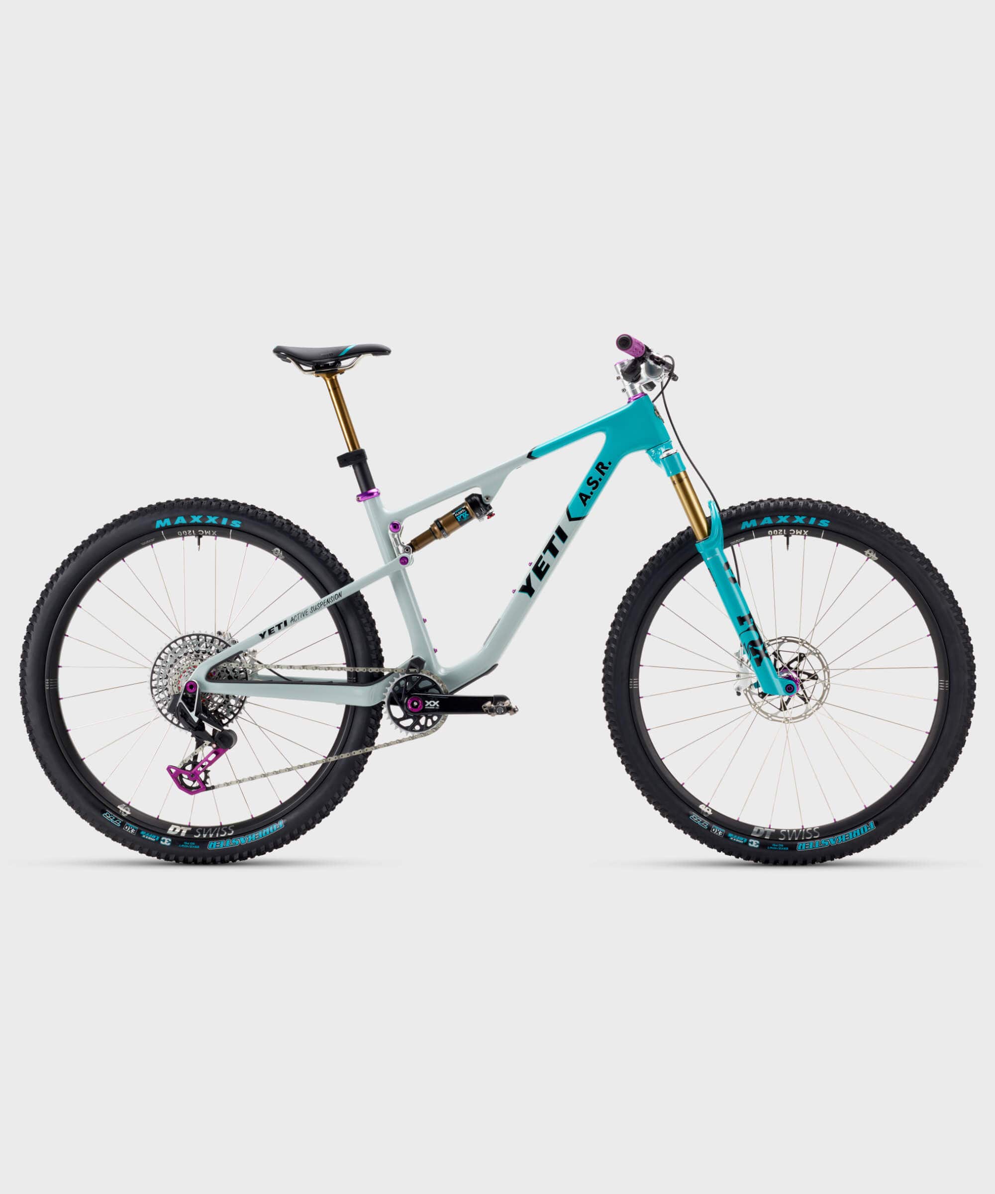 Yeti Cycles ASR Ultimate Anniversary 29" Bike