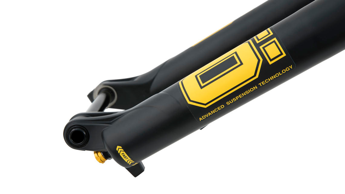 Ohlins RXF36 M.2 Trail Air 29 MTB Fork