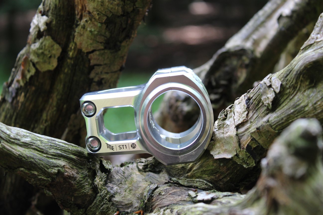 Title stem silver on a tree